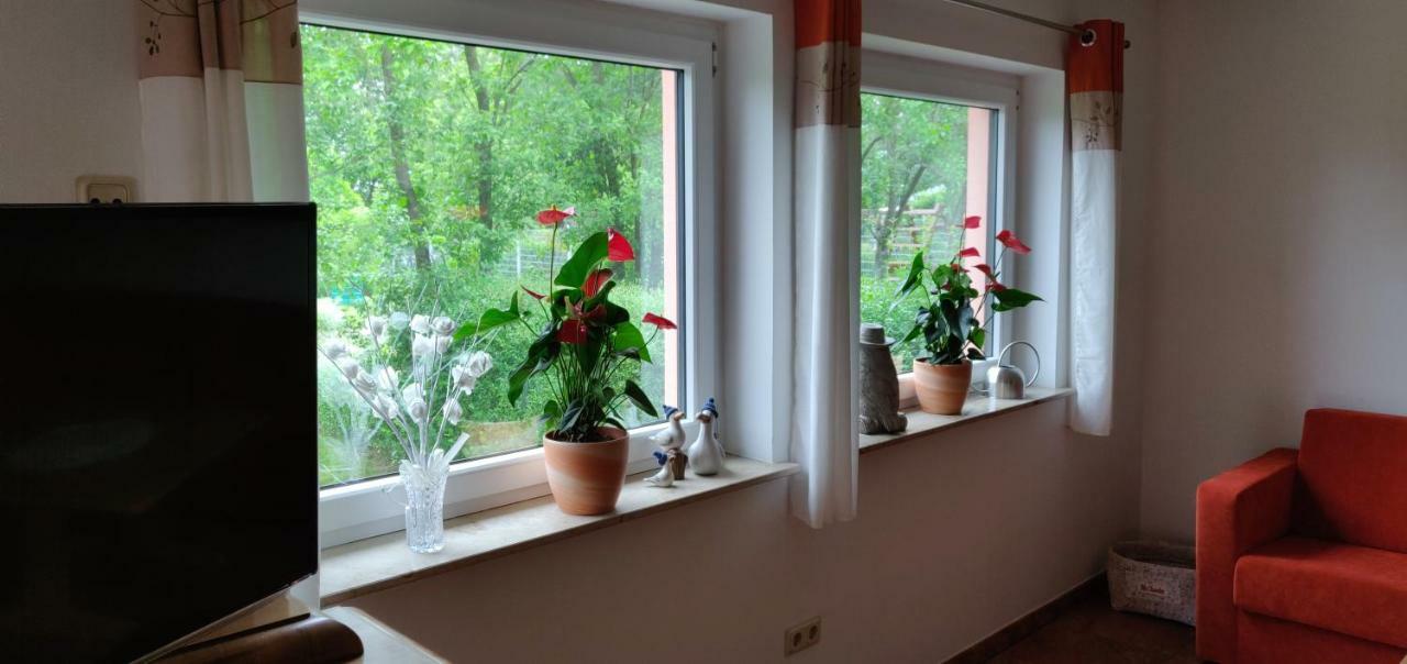 Ferienwohnungen Am Werbellinsee شورفهايده المظهر الخارجي الصورة